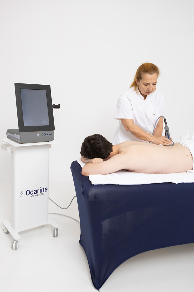 protocolo-flancos-ocarine-grey